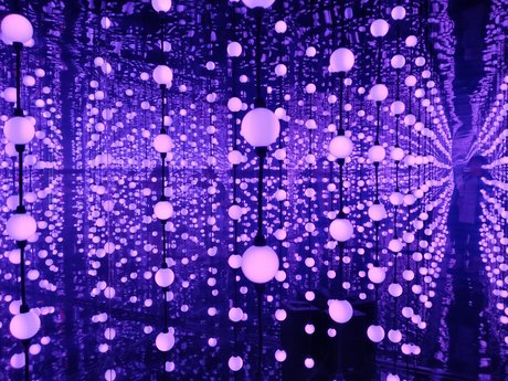 Nsfw Bww  Miss Piggy