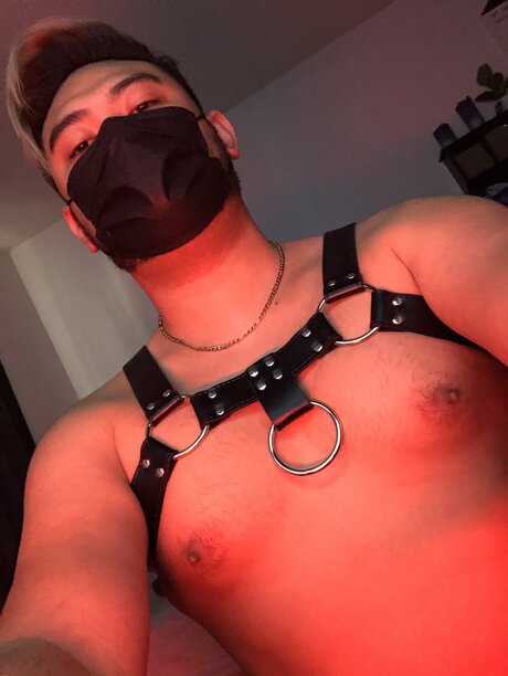 Naakte gelekte OnlyFans-foto van Mask For Masc