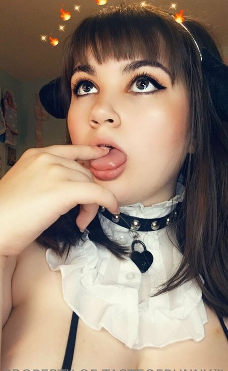 Tasteofbunny