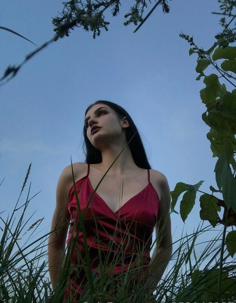 Naakte gelekte OnlyFans-foto van Eveinwonderland