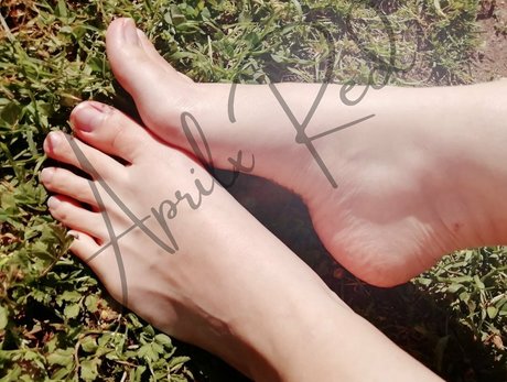 Aprilxredfree