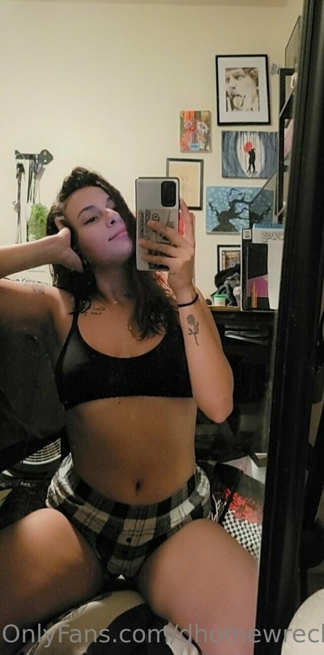 Dhomewrecker