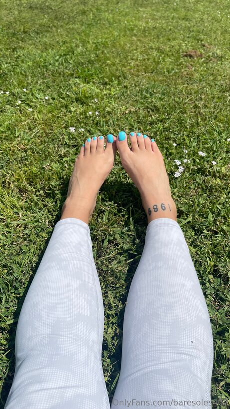 Baresoles407