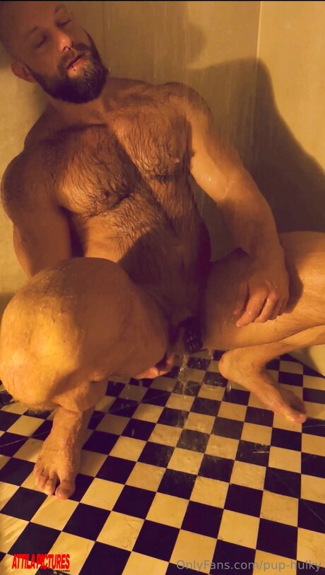 Pup Hulky