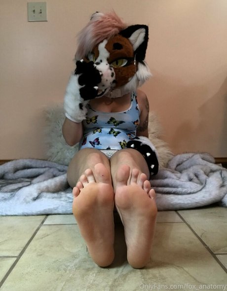 Fox_anatomy