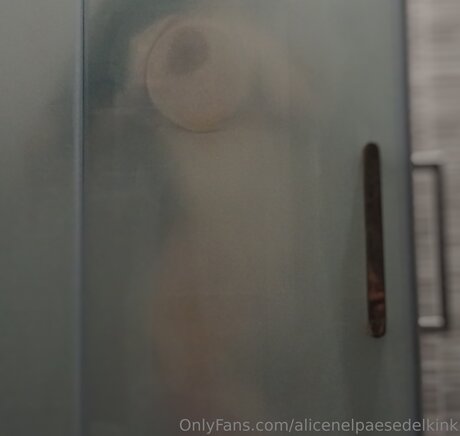 Alicenelpaesedelkink