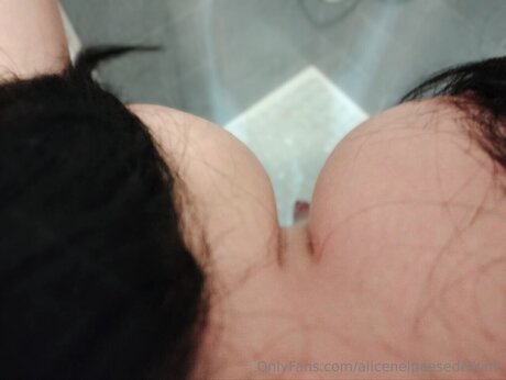 Alicenelpaesedelkink