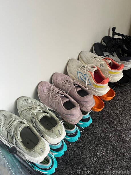 Vanruns