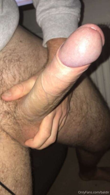 Baldir
