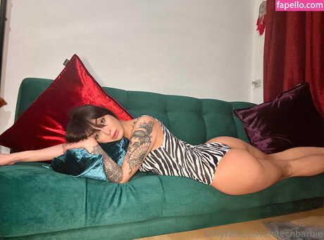 Naakte gelekte OnlyFans-foto van Hitechbarbie
