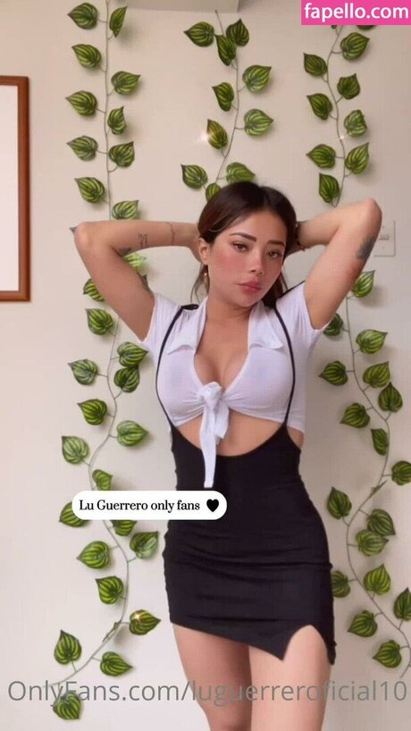 Luguerreroficial10