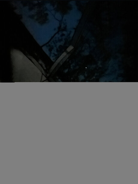 Ren Amplt3