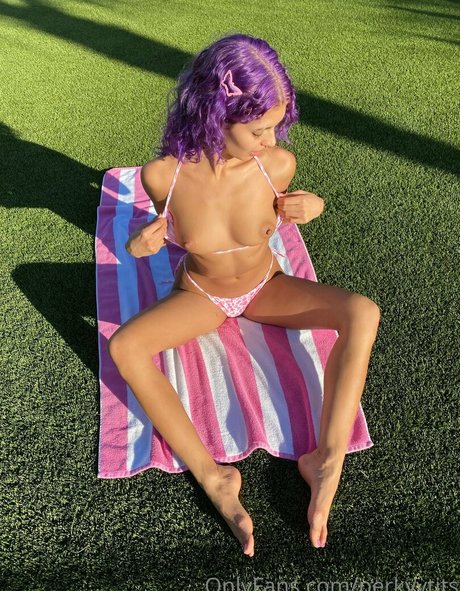 Naakte gelekte OnlyFans-foto van Perkyytits