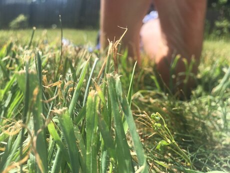 Naakte gelekte OnlyFans-foto van Jamaicansize11