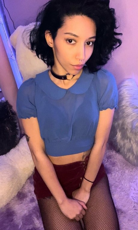 Kittenfox19