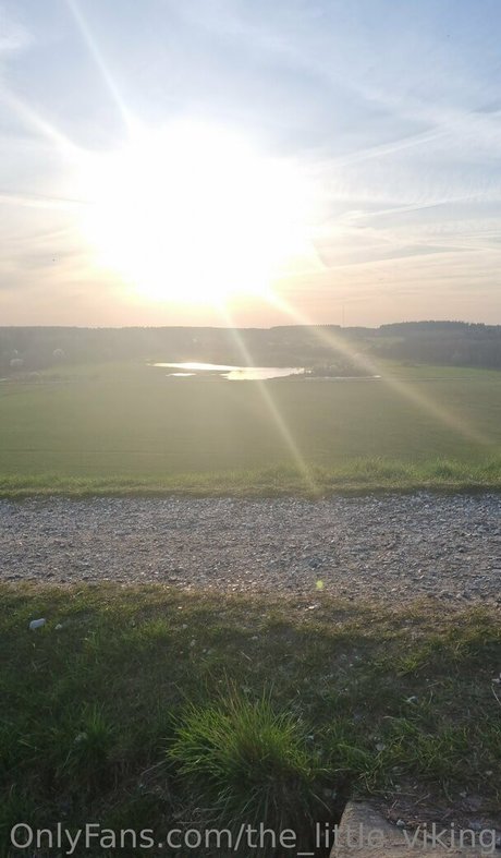 The_little_viking