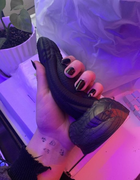 Naakte gelekte OnlyFans-foto van Cutiekatw