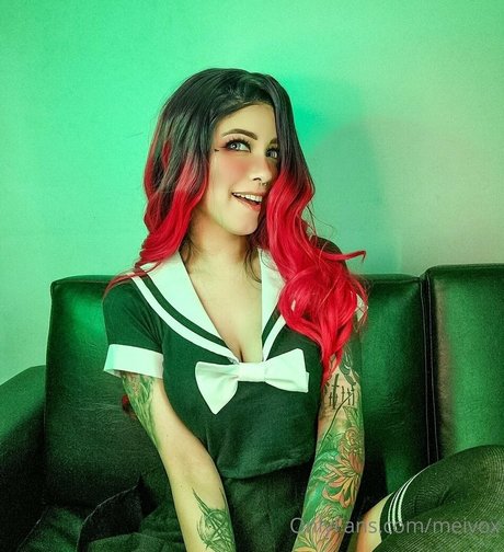 Meivox