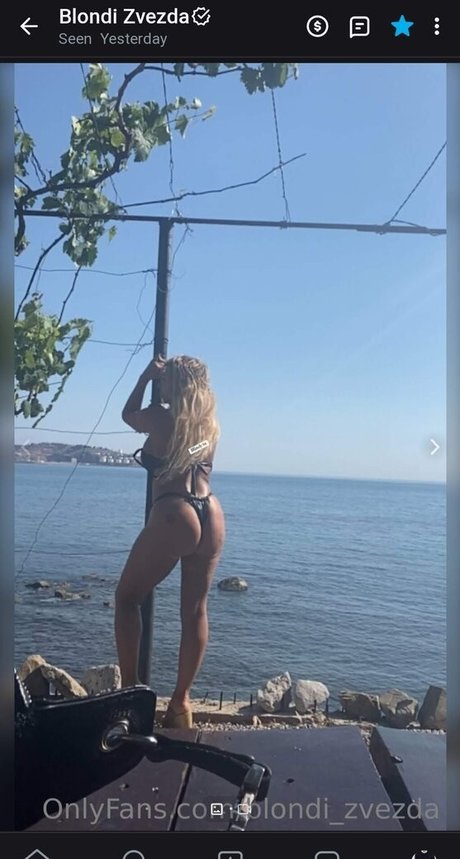 Blondi Zvezda