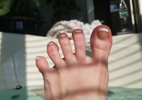 Myceliummother