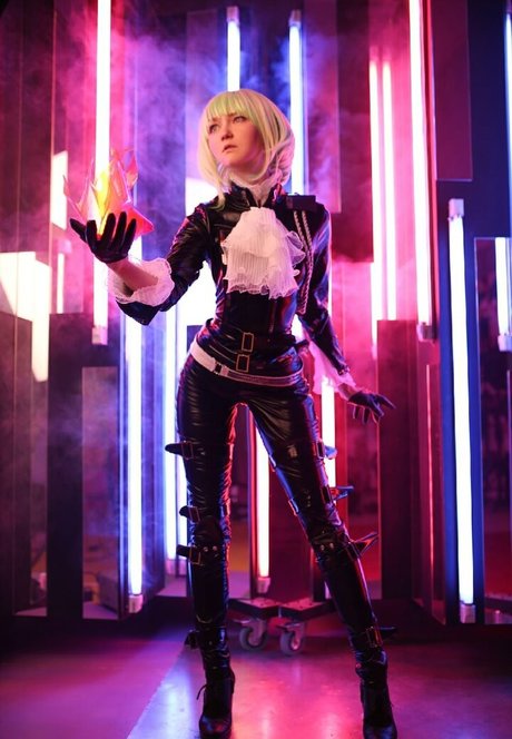 Erodaicon