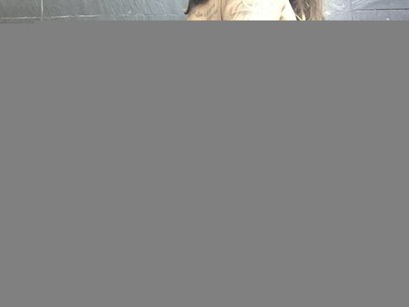 Naakte gelekte OnlyFans-foto van Titsntattsfree