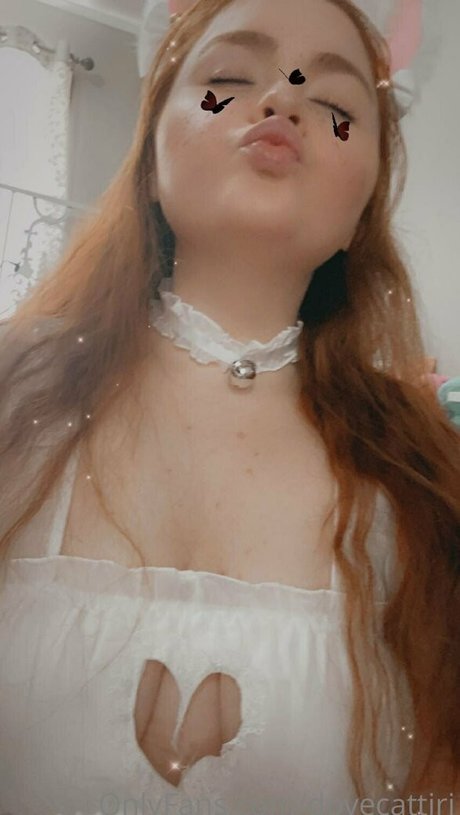 Dovecattiri