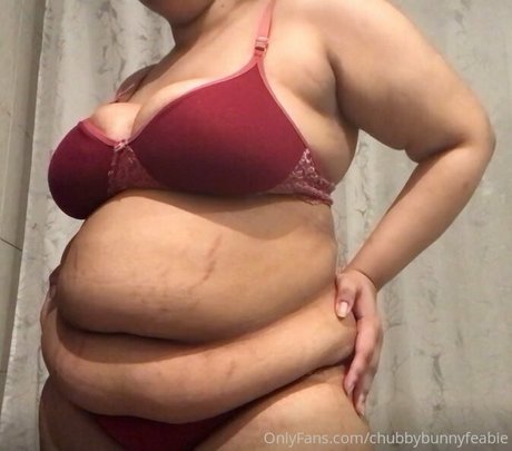 Chubbybunnyfeabie