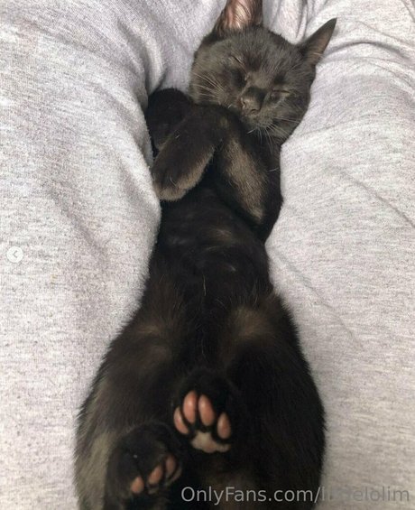 Naakte gelekte OnlyFans-foto van Littlelolim