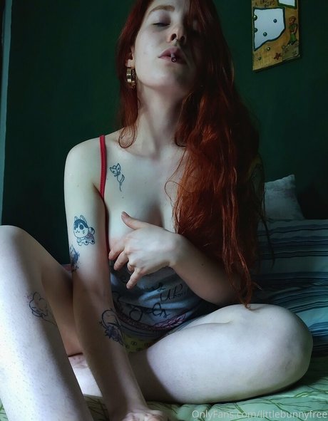 Littlebunnyfree