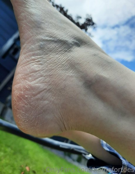 Homefortoes
