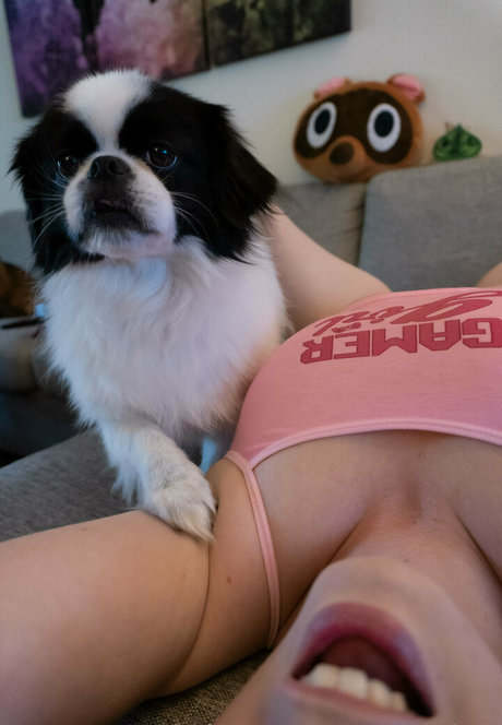 Pennykun