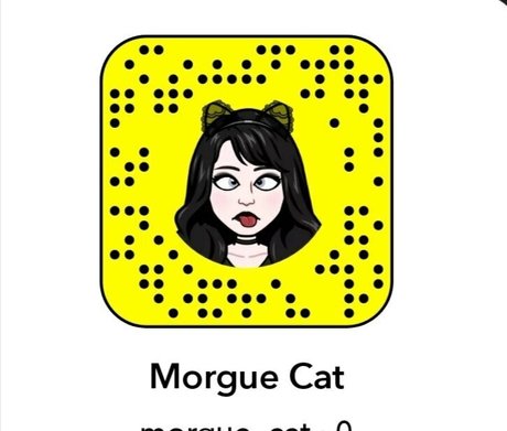 Morguecat
