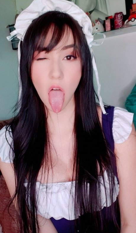 Hakicosmodel