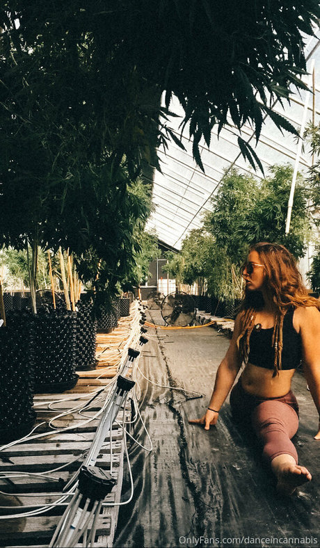Danceincannabis