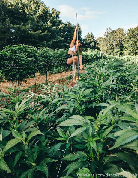 Naakte gelekte OnlyFans-foto van Danceincannabis