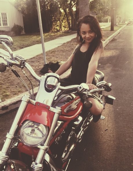 Hollyhendrix