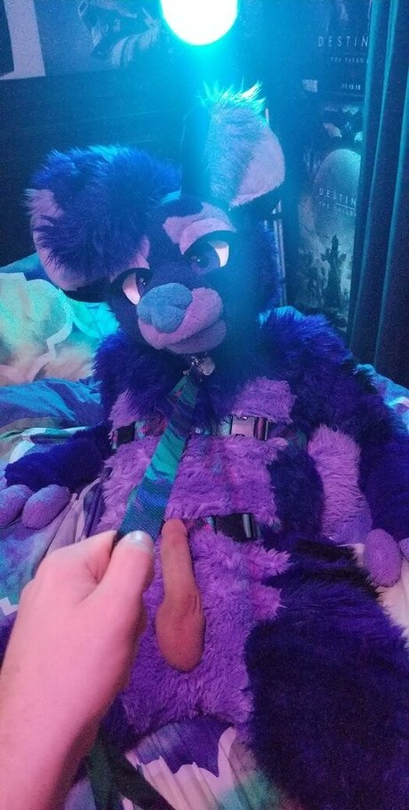 Naakte gelekte OnlyFans-foto van Ryffhyena