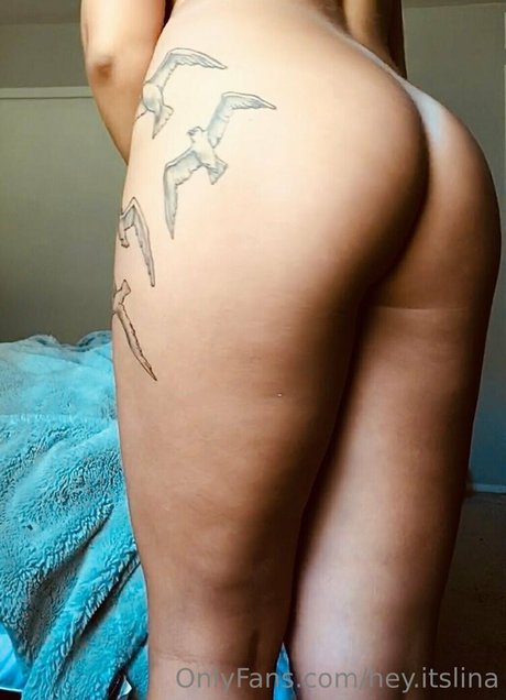 Naakte gelekte OnlyFans-foto van Heyitslina