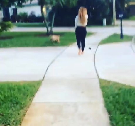 Laureen Pisciotta