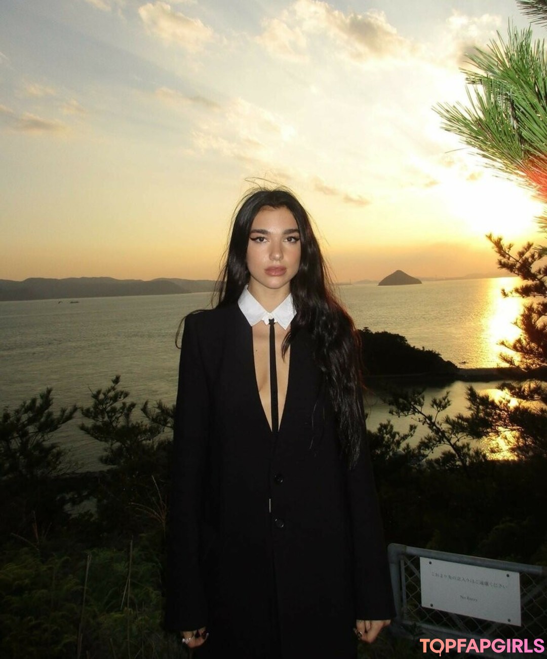 Naakte gelekte OnlyFans-foto van Dua Lipa #1450