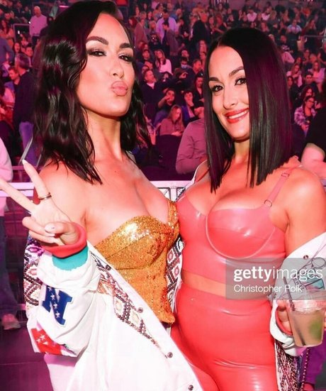 The Bella Twins