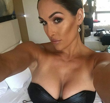 The Bella Twins