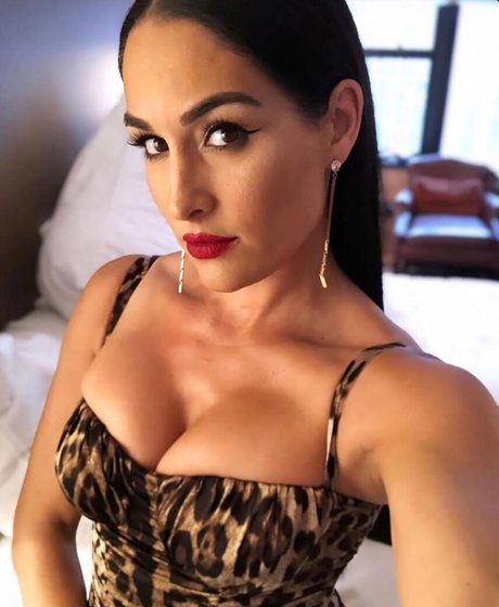 The Bella Twins: