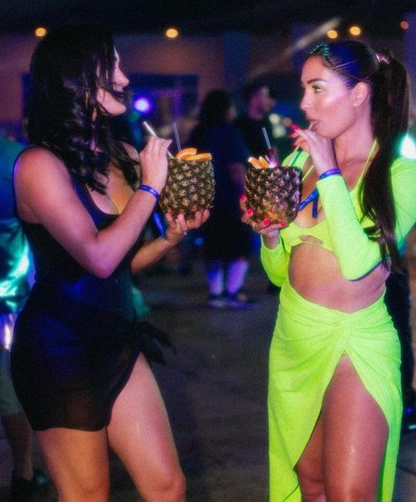 The Bella Twins