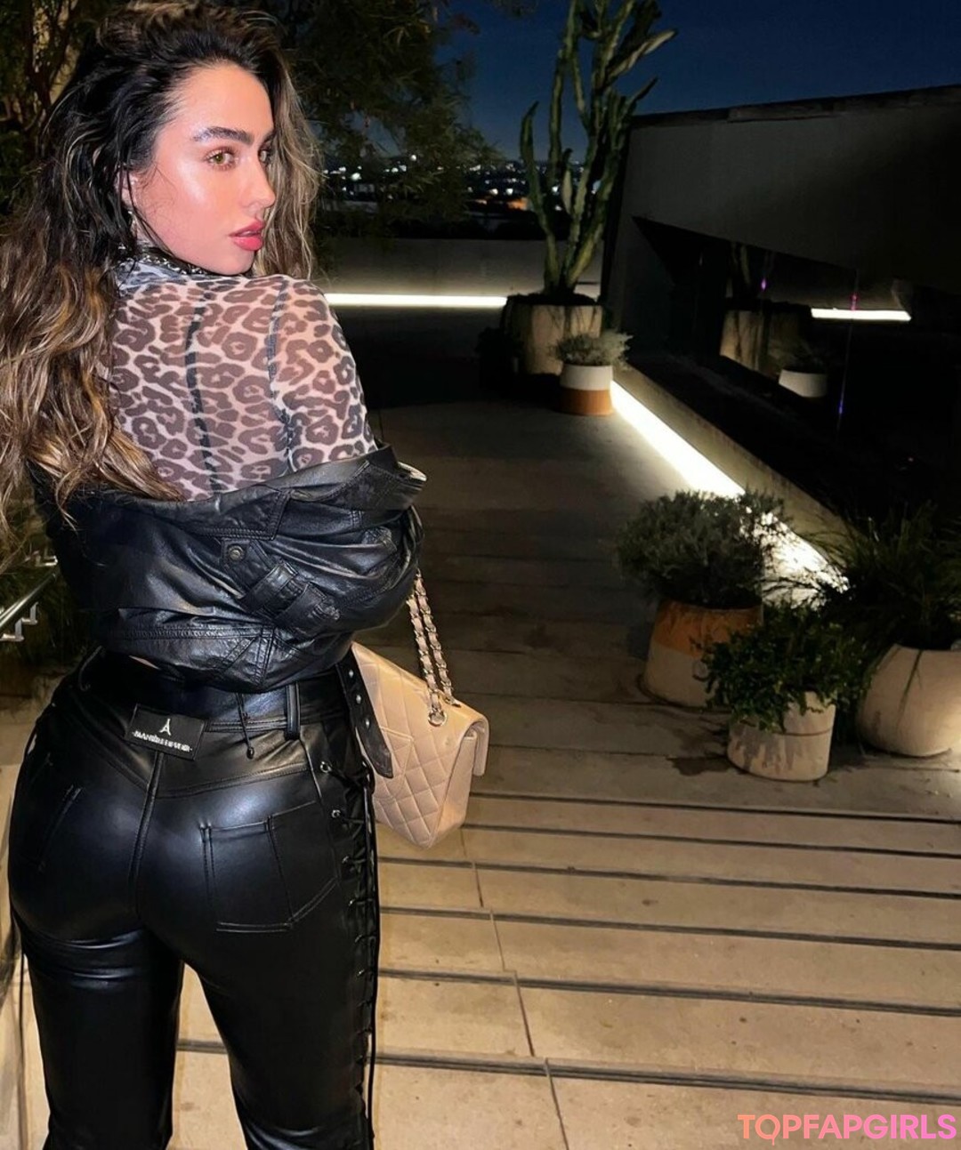 Naakte gelekte OnlyFans-foto van Sommer Ray #1308