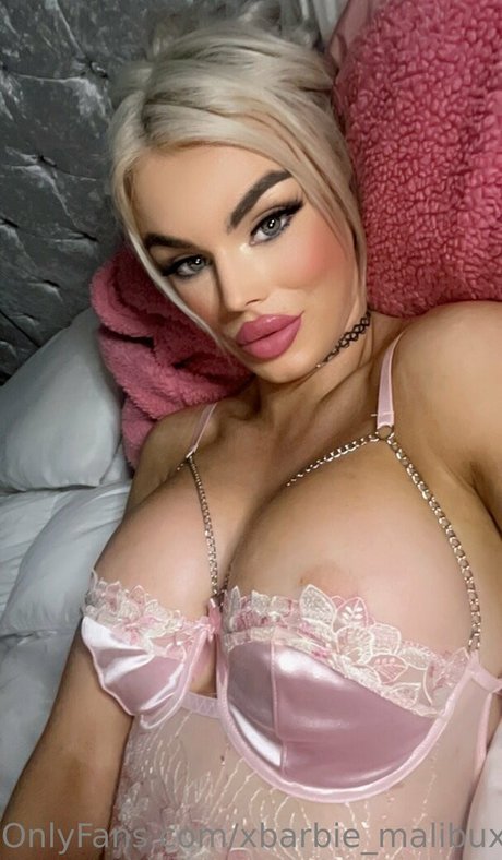 Xbarbie_malibux