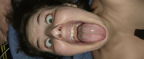 Lucylumid