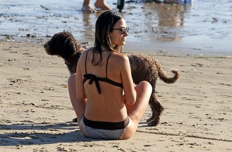 Jordana Brewster
