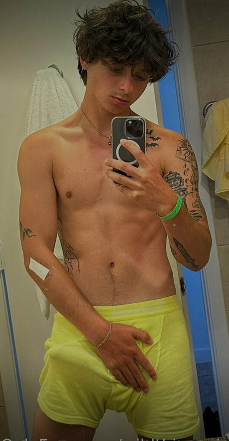 Naakte gelekte OnlyFans-foto van Wildthingsvip